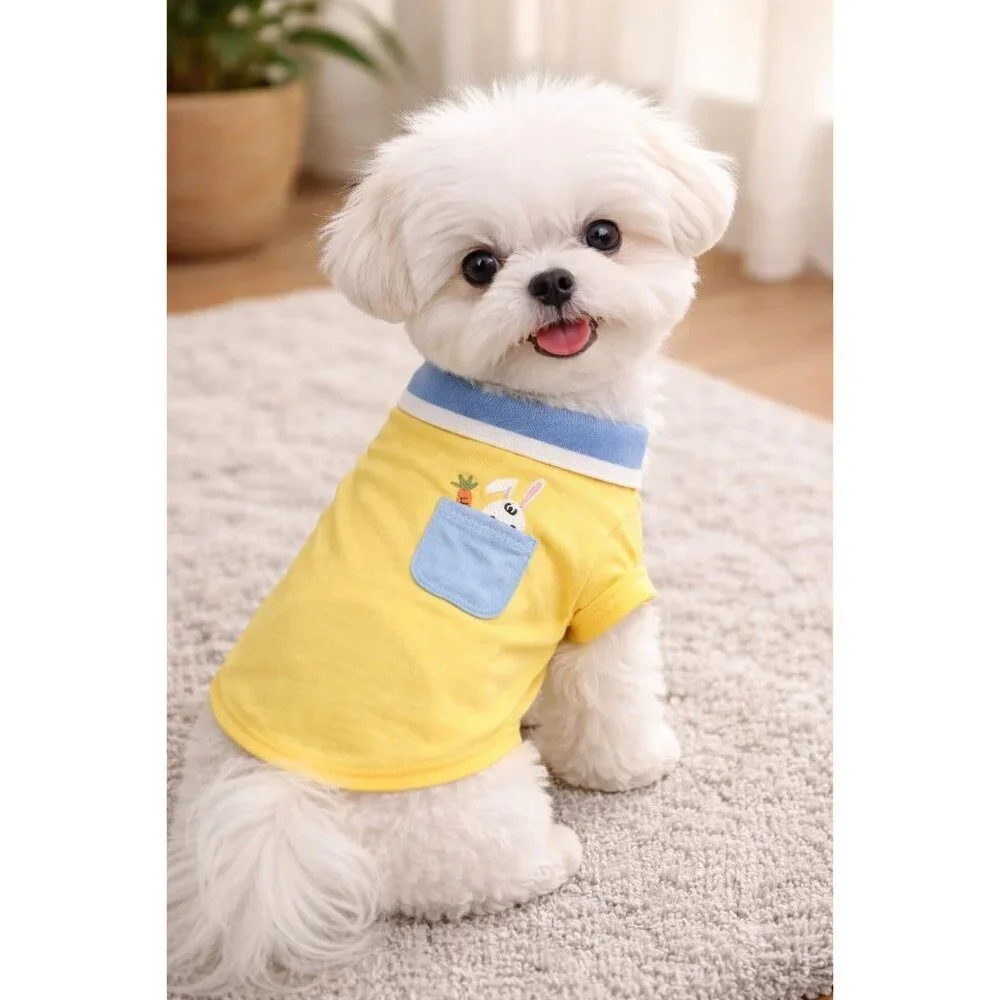 NEW Yellow Dog Apparel CLOTHING Easter Bunny Shirt W/ Blue Collar Top NWT
